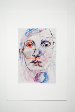 Ida on the fence: Lucky Numbers (fine art print)